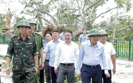 Chủ tịch Nghệ An kiểm tra 2 cây đa 'đặc biệt' ở Kim Liên bị bão quật ngã