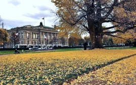 Lạc lối ở Strasbourg, thành phố cổ kính, ưu tư của Pháp