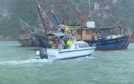 Đối phó với bão số 9 (bão Ragasa), Quảng Ninh tạm ngừng cấp phép tàu trên vùng biển