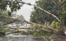 Bão số 10 gây mưa lớn tại Lào Cai, làm 1 người mất tích, thiệt hại hàng trăm ngôi nhà