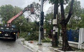 Bão Bualoi gây thiệt hại nặng nề: 12 người tử vong, 17 ngư dân mất tích