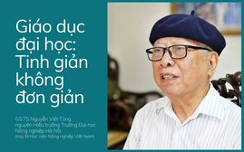 Giáo dục đại học: Tinh giản không đơn giản
