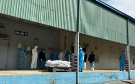 Tạm dừng sản xuất tại Nhà máy Đồ hộp Hạ Long - Hải Phòng