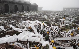 Thời tiết tuần mới: Các điểm có nhiệt độ dưới 10°C