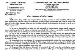 Đề thi học sinh giỏi Ngữ văn: Sống xanh rồi mới sống nhanh