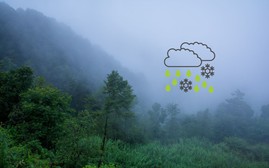 Khi nào miền Bắc kết thúc đợt rét đậm?