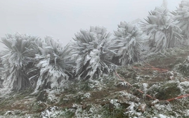 Miền Bắc sắp kết thúc đợt rét đậm, đón mưa phùn, nồm ẩm