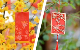 Thời tiết tuần đầu tháng 2/2026: ổn định và thuận lợi