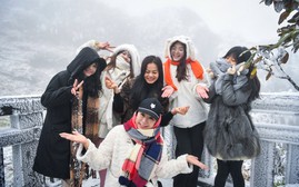 Băng giá phủ trắng đỉnh Fansipan