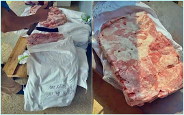 Khởi tố 9 bị can thu gom, vận chuyển và tiêu thụ số lượng lớn thịt lợn nhiễm dịch tả