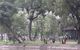 Dự báo thời tiết các khu vực cuối tháng 10/2026