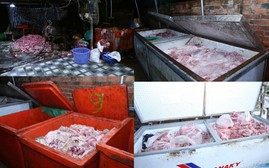 Triệt phá đường dây tiêu thụ 400 tấn heo bệnh, heo chết ở Đồng Nai