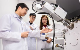 Bộ Giáo dục và Đào tạo hướng dẫn thực hiện chính sách học bổng theo Nghị định số 179/2026/NĐ-CP