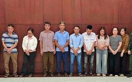 Triệt phá đường dây "vỗ béo" heo bằng chất độc hại rồi bán ra thị trường thu lợi 600 tỷ đồng