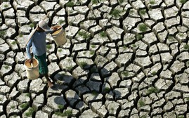 Tổ chức Khí tượng Thế giới: El Niño 2026 có thể thuộc nhóm mạnh nhất từ năm 1950
