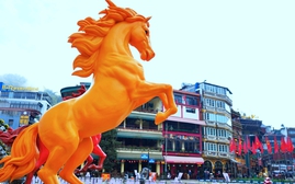 Sa Pa rực rỡ sắc màu đón Xuân