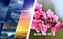 Thời tiết 10 ngày tới và Tết Bính Ngọ 2026