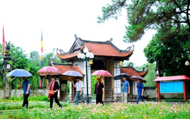 Hải Phòng sẵn sàng cho các tour du lịch mùa xuân