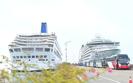 Quảng Ninh đón gần 2.400 khách quốc tế "xông đất" Cảng tàu quốc tế Hạ Long