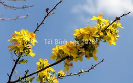 Thời tiết 10 ngày tới: Kỳ nghỉ Tết kết thúc trong nắng ấm