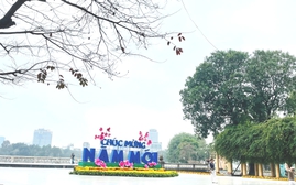Công viên Thống Nhất mở ra không gian xanh rộn ràng sắc Xuân