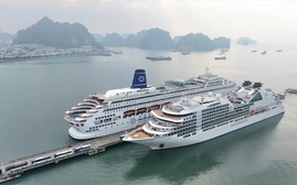 Tết Bính Ngọ ghi nhận kỷ lục khách du lịch quốc tế thăm Việt Nam