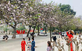 Đặc điểm thời tiết tuần đầu tháng 3/2026