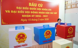 Các KOL là hoa hậu, nam vương sẽ phối hợp tuyên truyền bầu cử