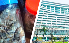 Botulinum: Độc tố chết người trong bữa ăn quen thuộc