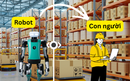 Robot đã bắt đầu đi làm: Ai sẽ là người mất việc đầu tiên?