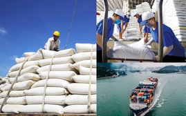 Thủ tướng ra công điện thúc đẩy xuất khẩu năm 2026