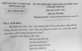 Hãy ngưng hành hạ học sinh bằng những đề Ngữ văn sáo rỗng