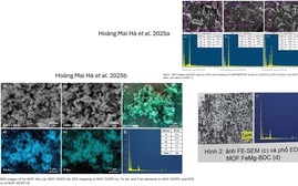 Dự án đoạt giải Nhất Cuộc thi khoa học kỹ thuật của học sinh Ninh Bình: Thêm nhiều bằng chứng sao chép khó chối cãi?