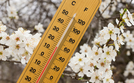 Cập nhật tình hình không khí lạnh: "rét tháng ba"