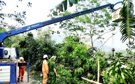 Cấp điện nhanh trở lại sau giông lốc ở Lào Cai