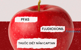 Vì sao 85% táo chứa "cocktails" vẫn được bán trên thị trường?