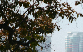 Thời tiết Bắc Bộ và Trung Bộ 10 ngày tới