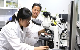 Quỹ học bổng quốc gia - tiếp sức cho nữ giới chinh phục các ngành STEM