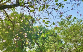 Cảnh báo thời tiết nguy hiểm trong tháng 3