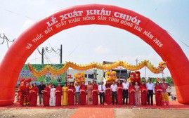 Đồng Nai xuất khẩu 220 tấn chuối tươi, thúc đẩy xuất khẩu nông sản năm 2026