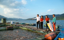 Top 10 Ngân hàng ESG Việt Nam 2026: Dấu ấn Agribank