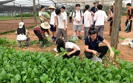 "Đừng ăn cố con nhé": Lời dặn xót xa và vụ 300 tấn thịt lợn bệnh vào bếp ăn trường học