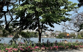 Thời tiết 10 ngày tới: Hà Nội nắng nóng, các tỉnh chú ý mưa dông, sét