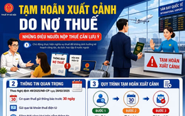 Quy trình, cách tra cứu có bị tạm hoãn xuất cảnh hay không