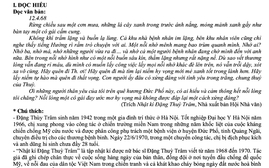 Đọc hiểu nhật kí, viết đoạn văn nghị luận văn học và bài văn nghị luận xã hội