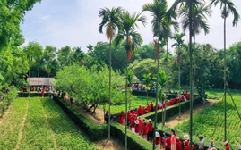 Chuỗi hoạt động chính của Lễ hội Làng Sen
