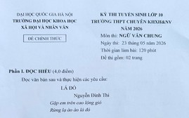 Bài thơ Lá đỏ của tác giả Nguyễn Đình Thi vào đề Văn thi lớp 10 chuyên Khoa học Xã hội và Nhân văn
