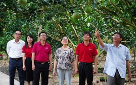Agribank - Dòng vốn lan tỏa, kiến tạo phát triển bền vững tại Đồng bằng sông Cửu Long