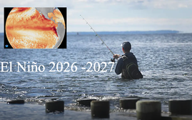 NOAA xác nhận El Niño xuất hiện, xác suất trở thành siêu El Niño rất cao