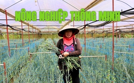 Kinh tế nông nghiệp thông minh - sức mạnh đối đầu với biến đổi khí hậu